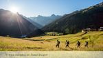 Wandern über Wiesen