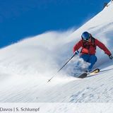 Freerider
