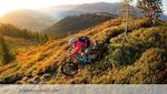 Mountainbiken Saalbach Downhill