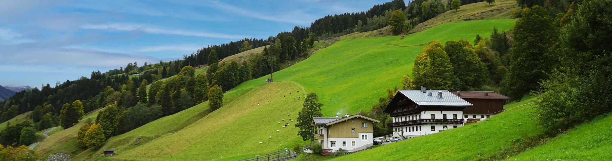 Gruppenhaus Lederer im Sommer