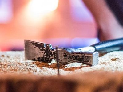 Reisen mit Programm